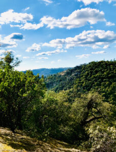 Magnificent view from the NEW hiking trail